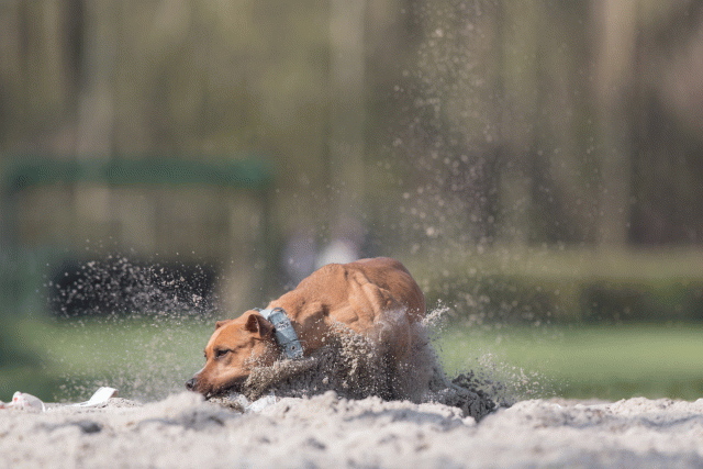 Bo4I8332 33880990715 O