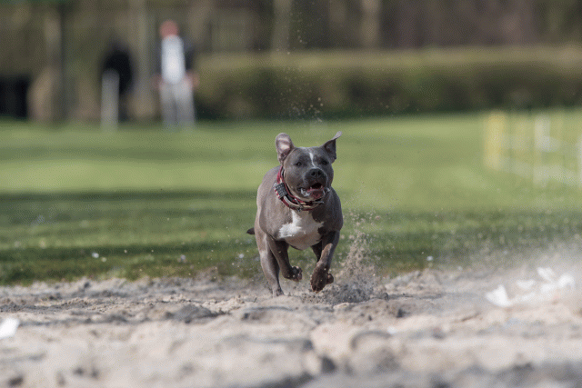 Bo4I8284 33880997925 O