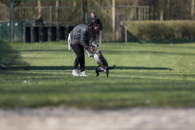 Bo4I8191 32999339674 O