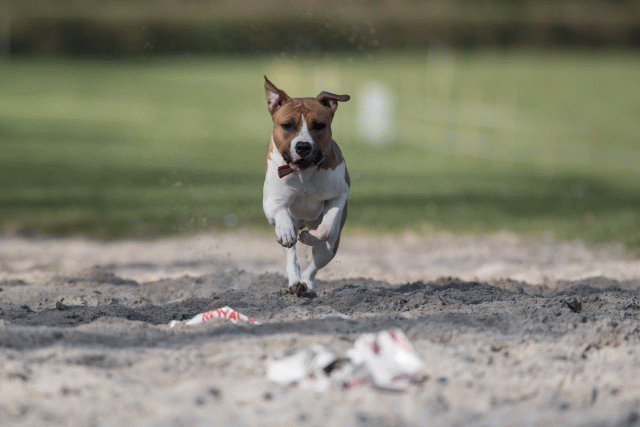 Bo4I8152 32999345684 O