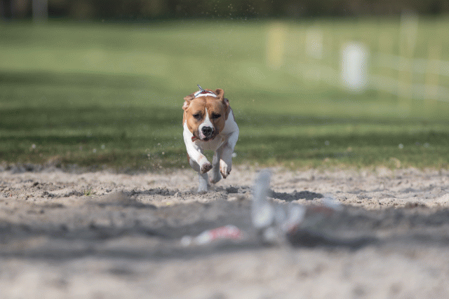 Bo4I8149 32999345824 O