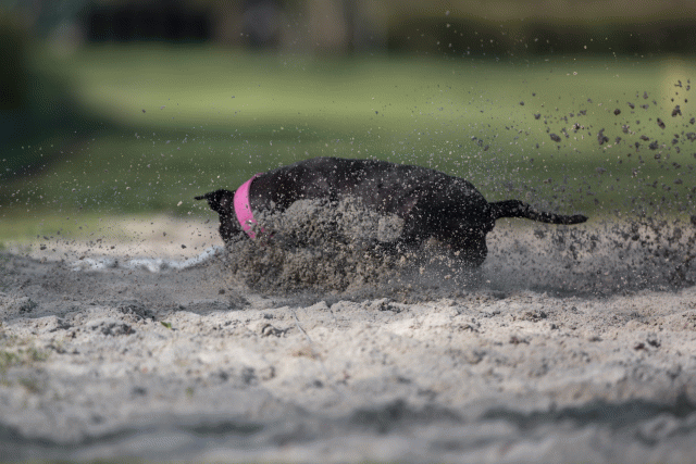 Bo4I8141 32999346564 O