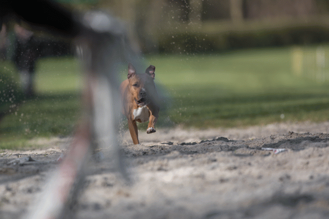 Bo4I8133 32999347544 O