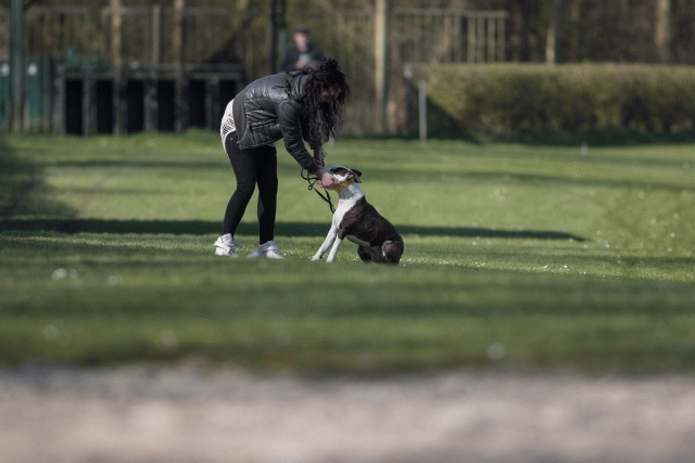 Bo4I8192 33029304233 O