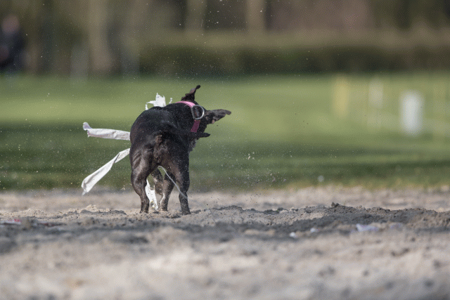 Bo4I8146 33029314843 O