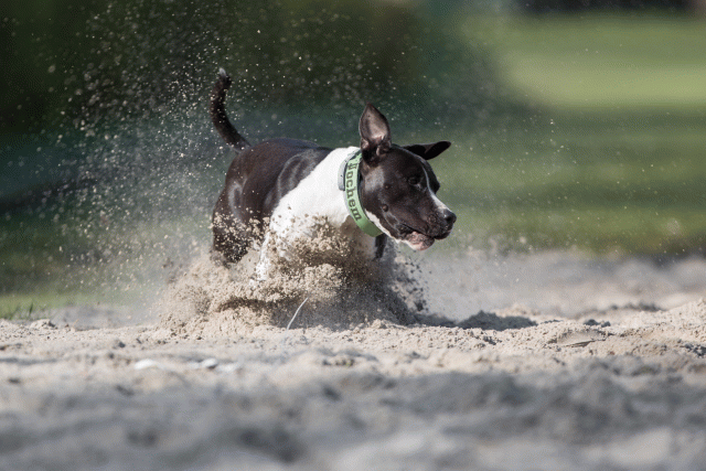 Bo4I8195 33458310230 O