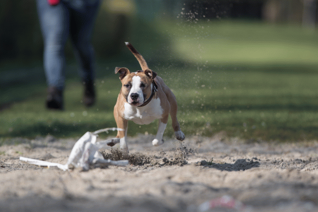 Bo4I8177 33458312420 O