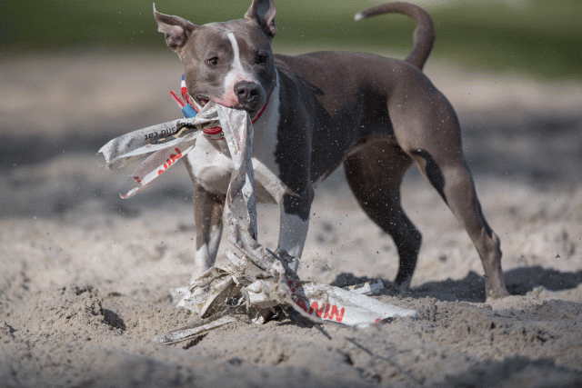 Bo4I8174 33458313370 O