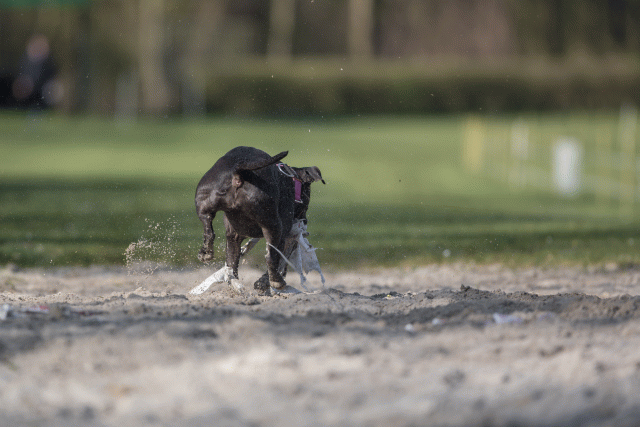 Bo4I8147 33458318910 O