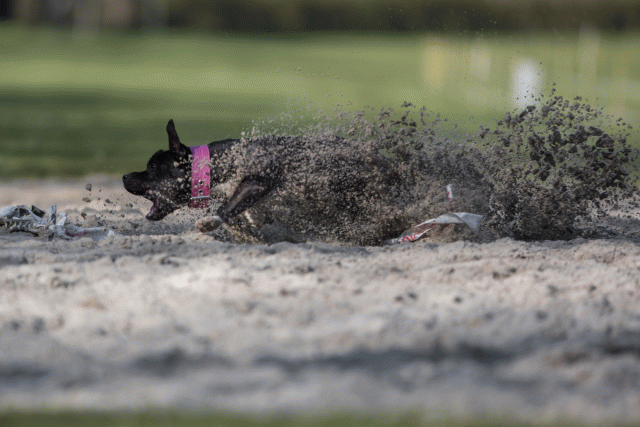 Bo4I8140 33458320120 O