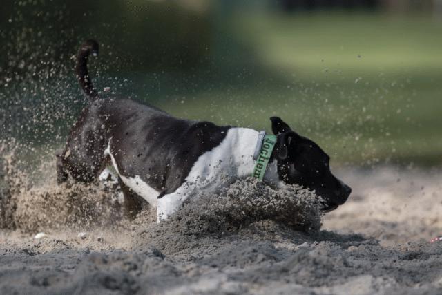 Bo4I8197 33686620852 O