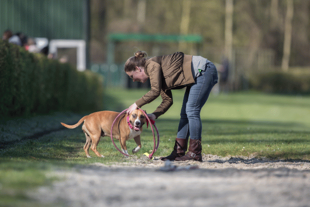 Bo4I8082 33686631802 O