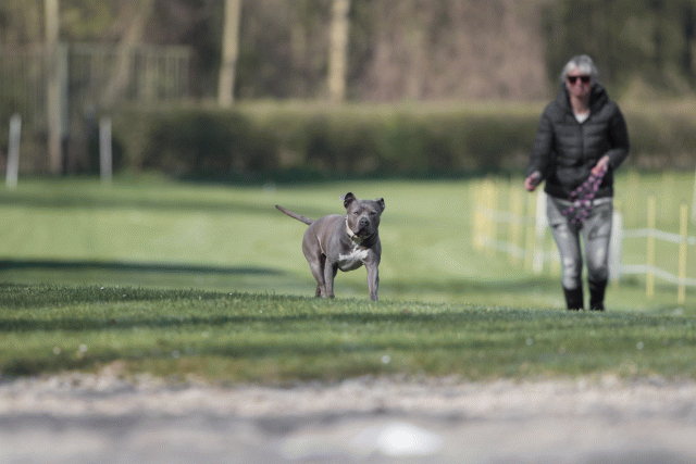 Bo4I8075 33686632342 O