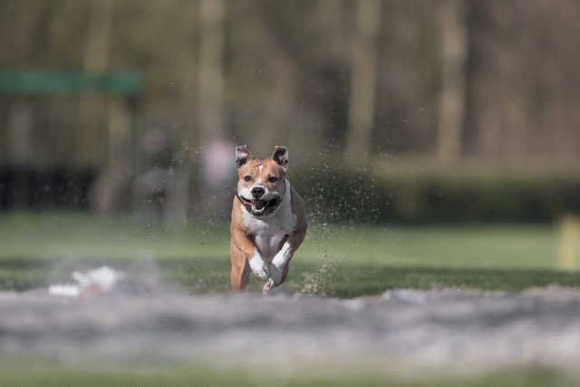 Bo4I8058 33686633592 O