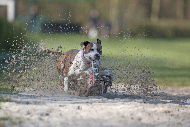 Bo4I8111 Editsmall 33713449641 O