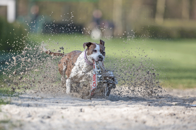 Bo4I8111 Edit 33713450301 O