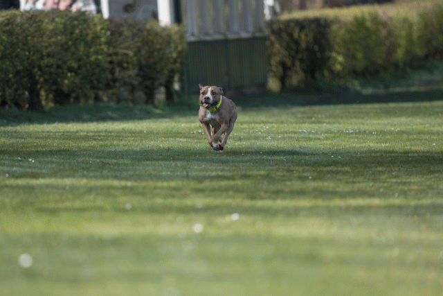 Bo4I8159 33801743326 O