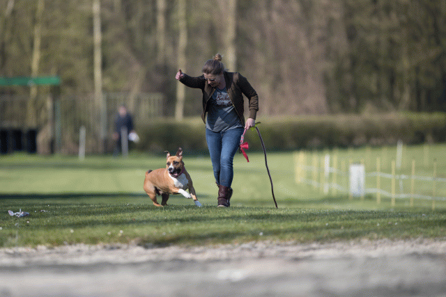 Bo4I8080 33801749546 O