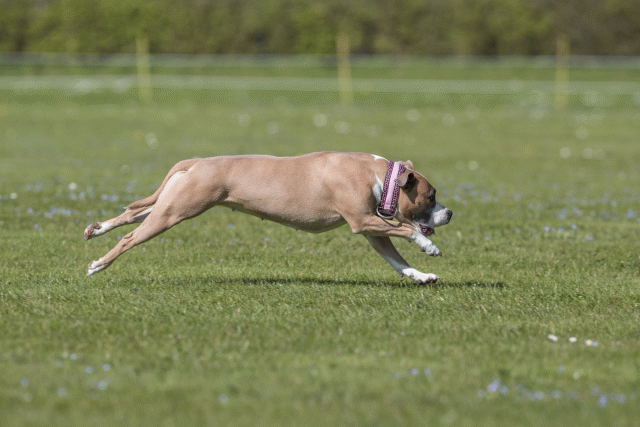 Bo4I8839 33036554564 O