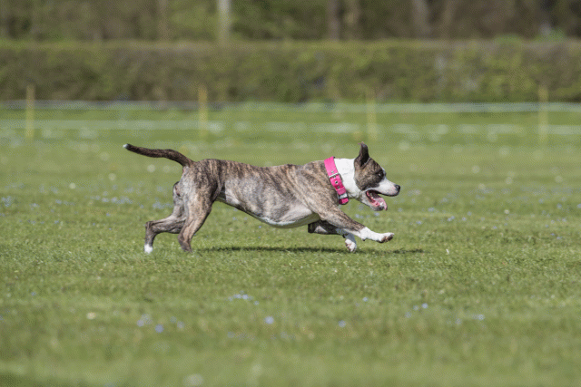 Bo4I8802 33036558764 O