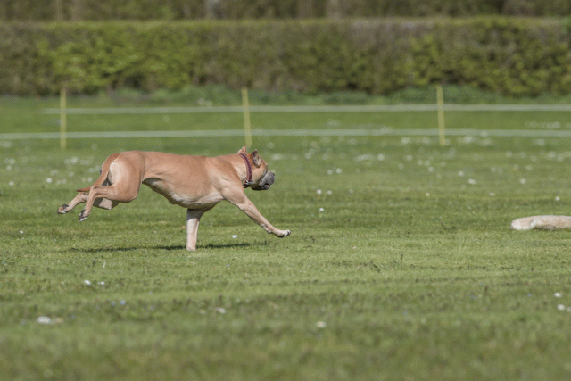 Bo4I8795 33036560354 O