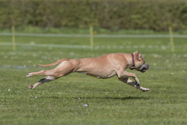 Bo4I8793 33036560744 O