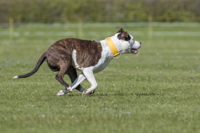 Bo4I8769 33036565594 O