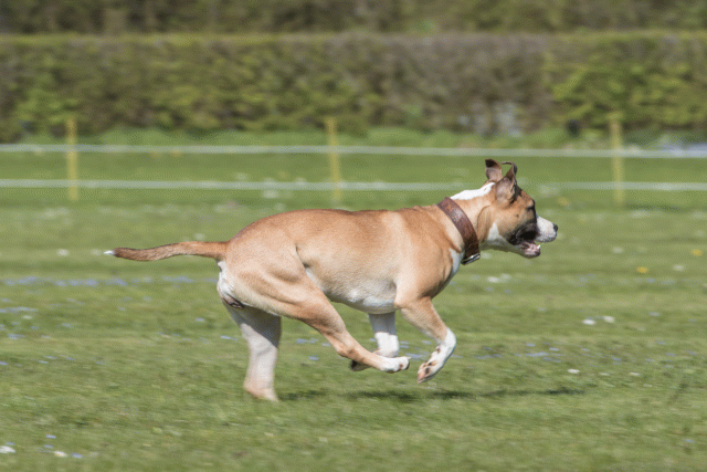 Bo4I8744 33036570514 O