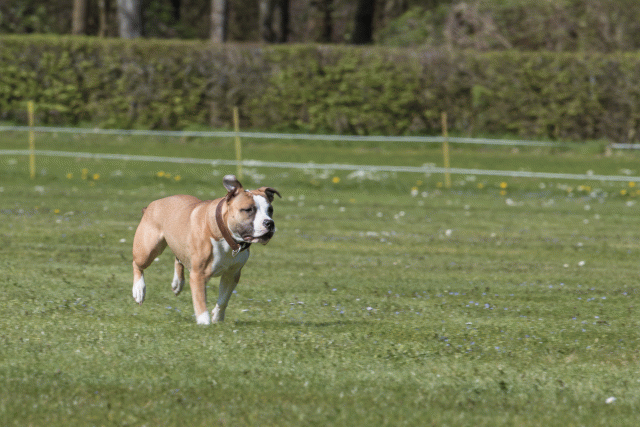 Bo4I8737 33036570874 O