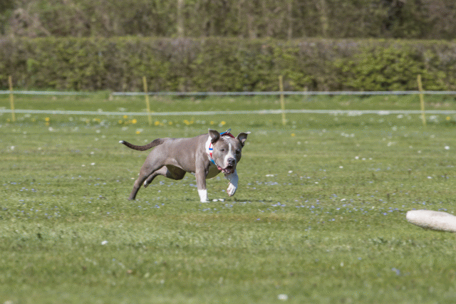 Bo4I8722 33036573934 O