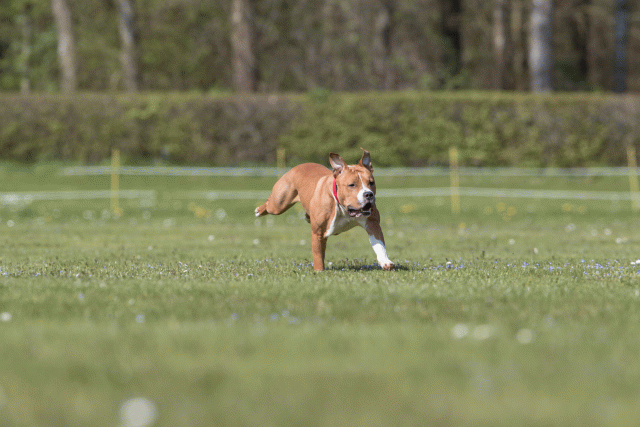 Bo4I8584 33036595294 O