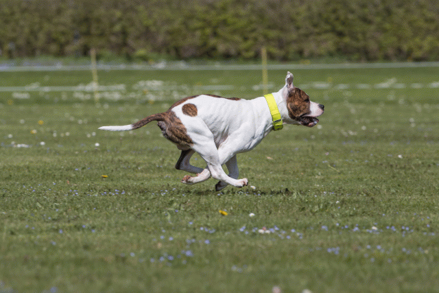 Bo4I8581 33036595664 O