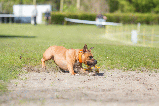 3Y3A6968 26775574966 O