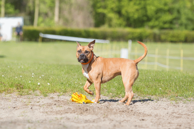 3Y3A6972 26733243111 O