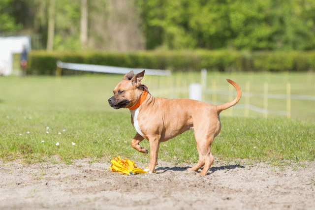 3Y3A6973 26527971860 O