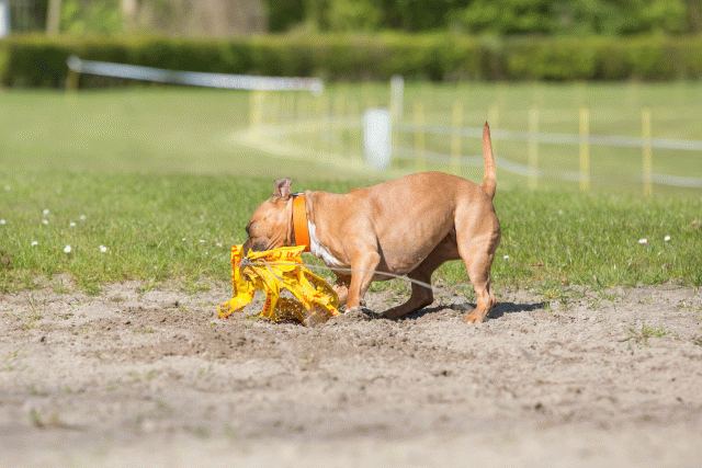 3Y3A6975 26527970900 O