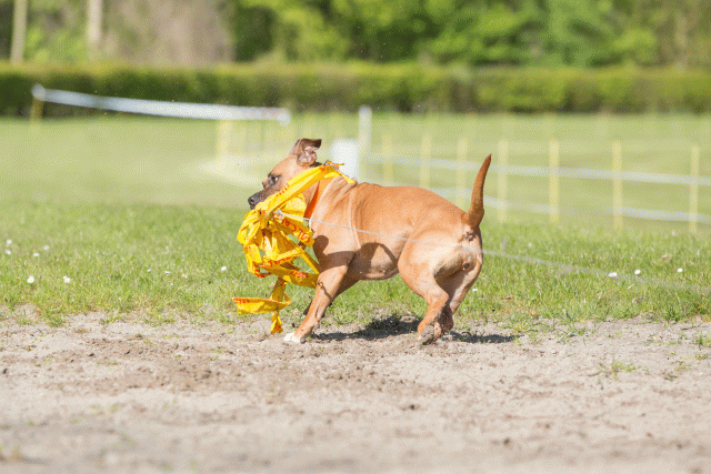 3Y3A6976 26733241321 O