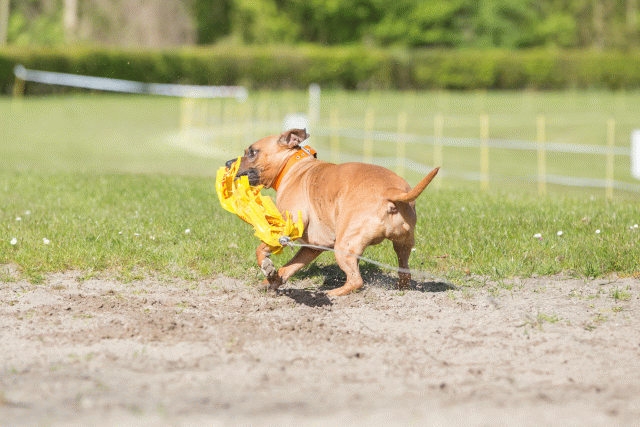 3Y3A6977 26733240981 O