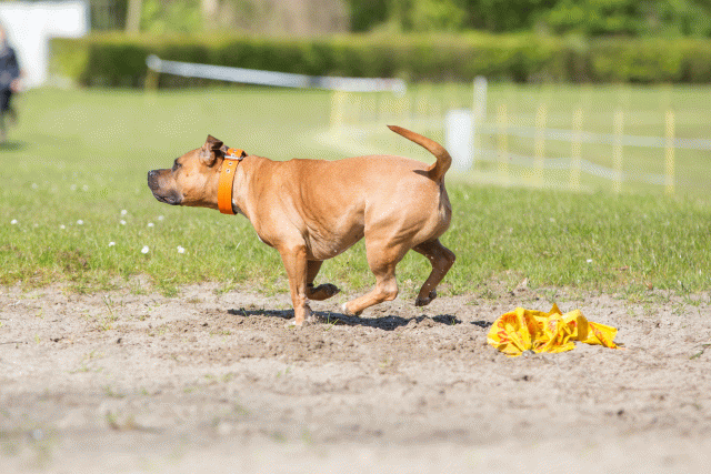 3Y3A6980 26527969800 O