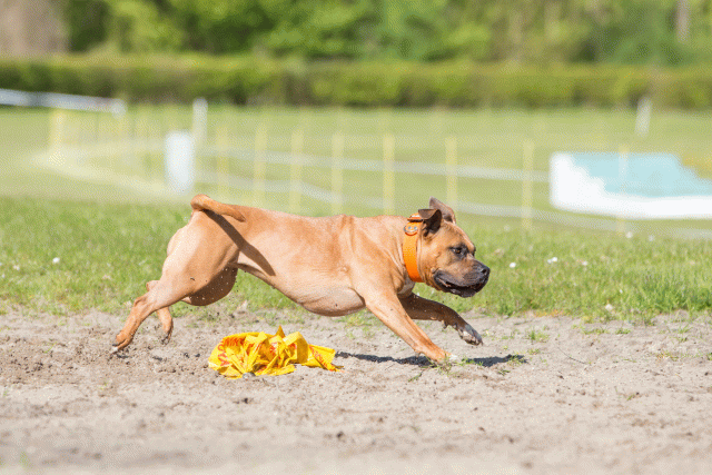 3Y3A6982 26733240141 O