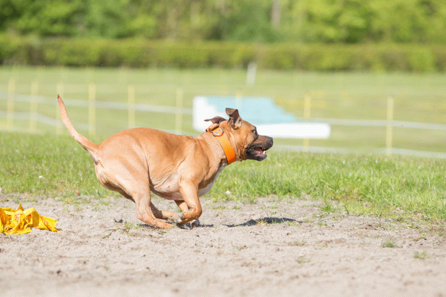 3Y3A6983 26733239761 O