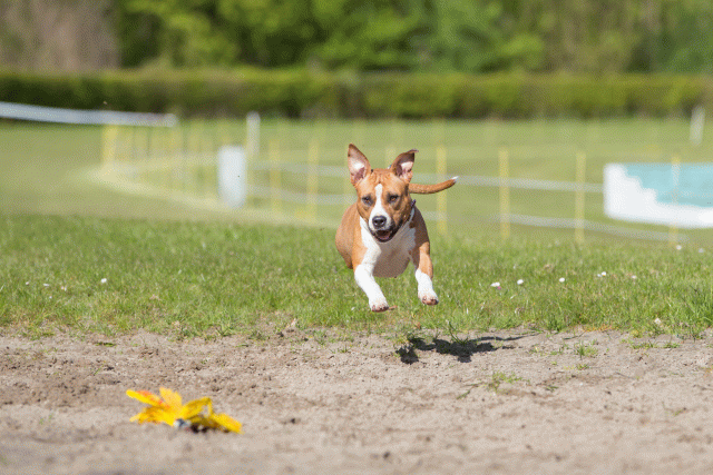 3Y3A6987 26733239451 O