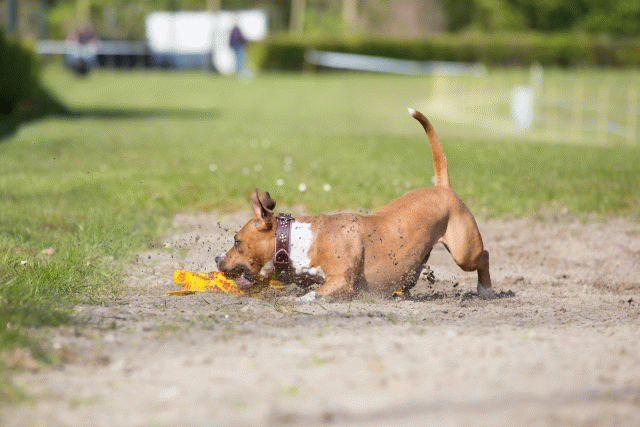 3Y3A6991 26799900195 O