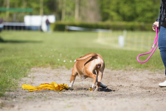 3Y3A6992 26527966330 O