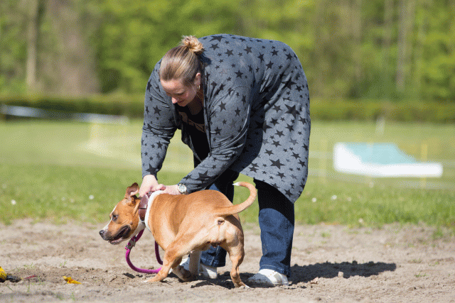 3Y3A6993 26195048664 O