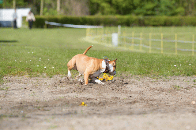 3Y3A6994 26527965480 O