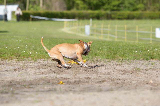 3Y3A6995 26733235281 O