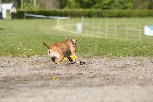 3Y3A6996 26799899155 O