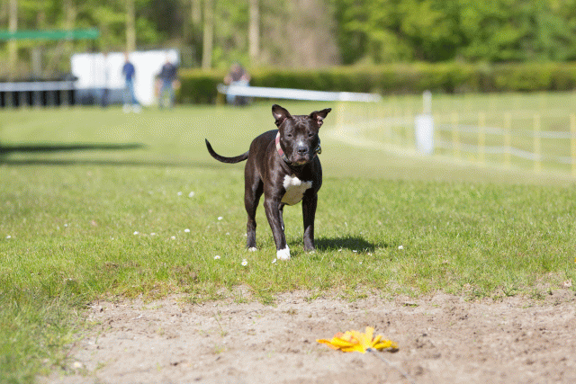 3Y3A6998 26799898915 O