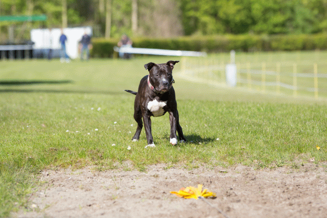 3Y3A6999 26799898835 O